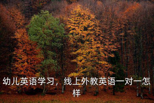 幼兒英語學習，線上外教英語一對一怎樣