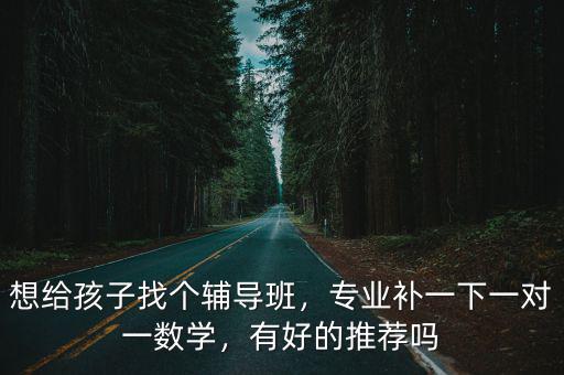 想給孩子找個輔導班，專業補一下一對一數學，有好的推薦嗎
