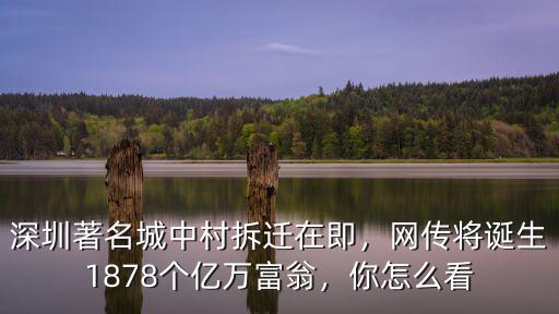 深圳多少人出個億萬富翁,中國有多少億萬富翁