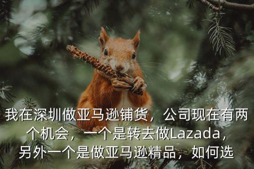 我在深圳做亞馬遜鋪貨，公司現(xiàn)在有兩個(gè)機(jī)會(huì)，一個(gè)是轉(zhuǎn)去做Lazada，另外一個(gè)是做亞馬遜精品，如何選