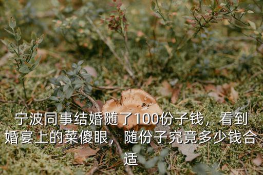 寧波請個一般的婚慶多少錢,一般隨禮多少錢