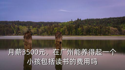 在廣州養(yǎng)一個小孩要多少錢,在廣州帶兩孩子