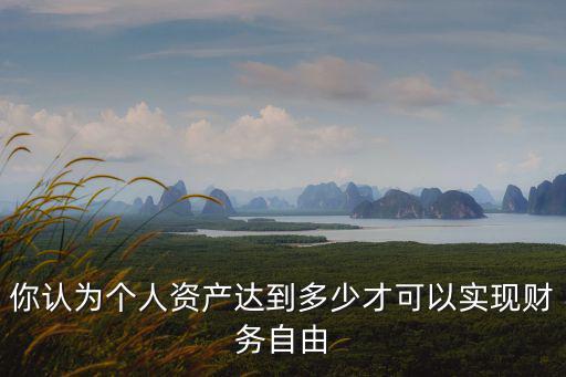 你認為個人資產達到多少才可以實現財務自由