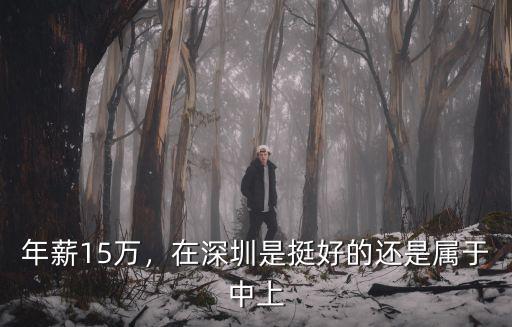 深圳二零一八省社平工資是多少,深圳的工資一般都是多少