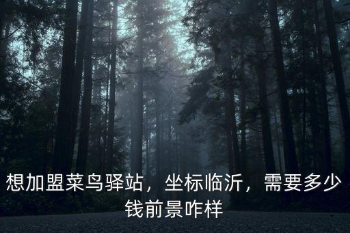 棗莊加入菜鳥(niǎo)驛站多少錢(qián),菜鳥(niǎo)驛站能月收入多少錢(qián)