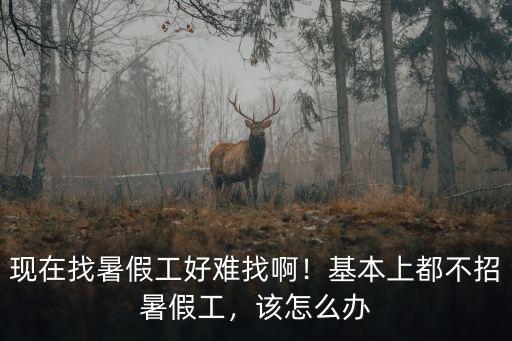 深圳哪里最好找暑假工,基本上都不招暑假工