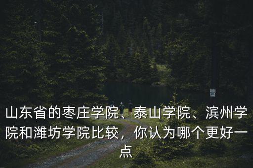 山東省的棗莊學(xué)院、泰山學(xué)院、濱州學(xué)院和濰坊學(xué)院比較，你認(rèn)為哪個更好一點