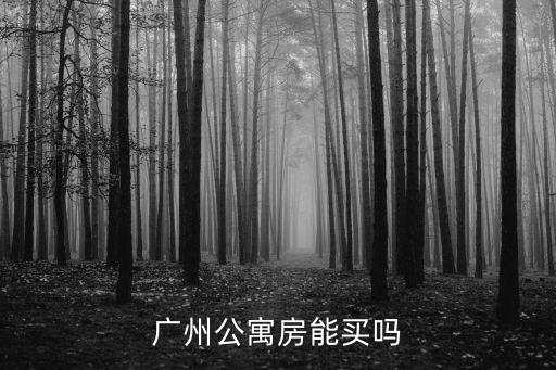 廣州公寓房能買嗎