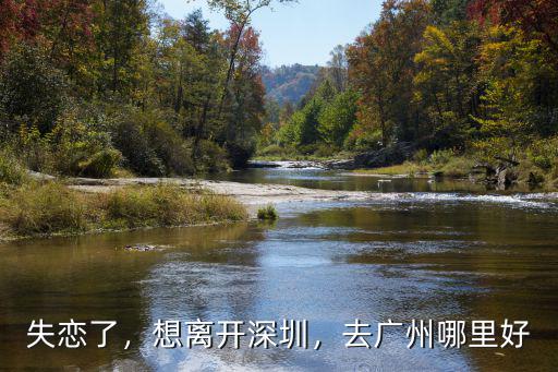 你離開深圳最想去哪里,你打算什么時候離開深圳