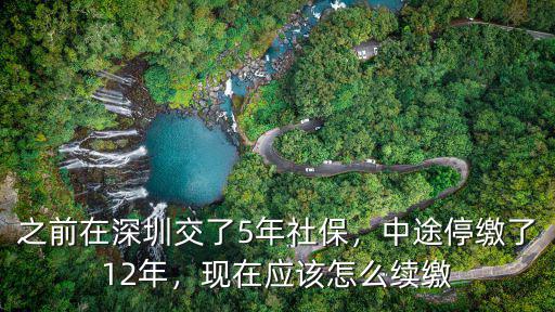 深圳社保卡怎么續交,之前在深圳交了5年社保