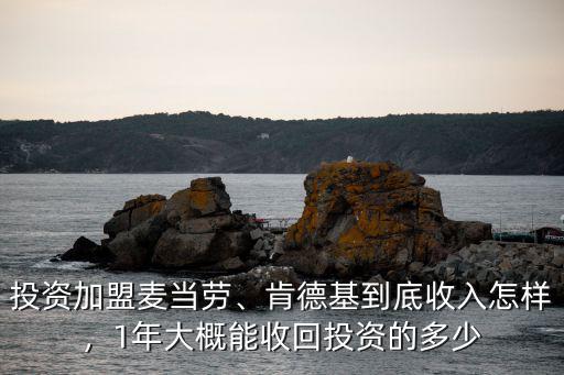 投資加盟麥當勞、肯德基到底收入怎樣，1年大概能收回投資的多少