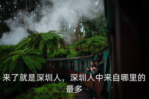 深圳哪里傻子最多,深圳人中來自哪里的最多