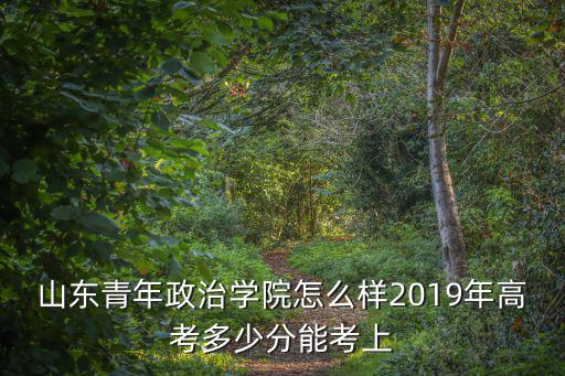 山東青年政治學(xué)院錄取分?jǐn)?shù)線多少,山東青年政治學(xué)院怎么樣呀