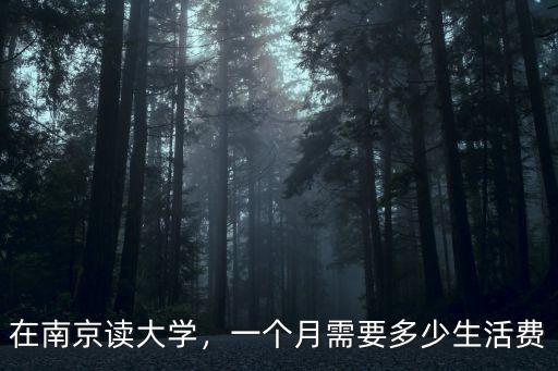 在南京讀大學(xué)，一個月需要多少生活費