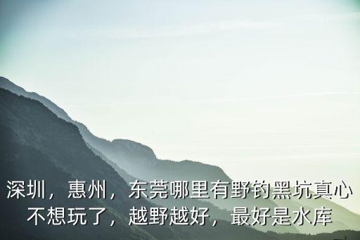 惠州海域哪里可以釣魚,惠州哪個(gè)海灘值得去
