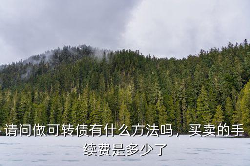 深圳可轉債手續費最低多少,可轉債傭金可以做到最低多少