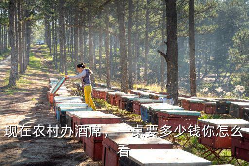 溫州大酒包席多少錢一桌,農(nóng)村流水席一桌多少錢