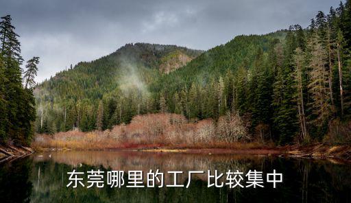 東莞哪里有集中工廠,東莞大嶺山哪里工廠集中