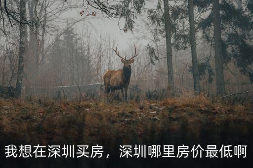 我想在深圳買房，深圳哪里房價最低啊