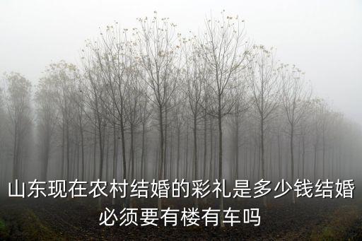 山東莒縣結婚彩禮多少錢,山東東營現在訂婚彩禮多少錢