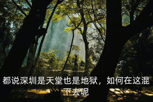 都說深圳是天堂也是地獄，如何在這混下去呢
