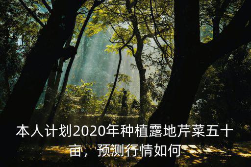 山東芹菜多少錢一斤2020年,2018年芹菜價格怎么樣