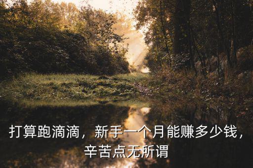 衢州開滴滴一個月賺多少,新手一個月能賺多少錢