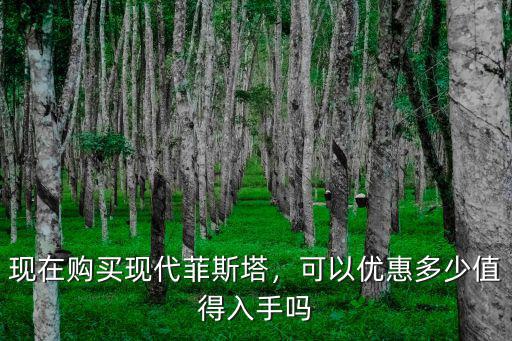 菲斯塔在溫州優(yōu)惠多少,現(xiàn)在購買現(xiàn)代菲斯塔