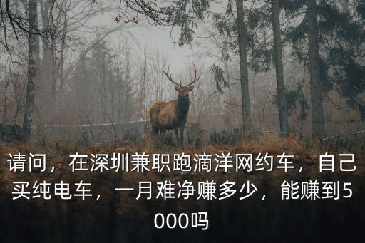 在深圳跑電動滴滴一天能賺多少錢,在深圳兼職跑滴洋網約車