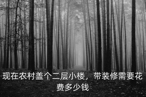 現在農村蓋個二層小樓，帶裝修需要花費多少錢