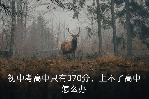 金華初中考高中要多少分才能考上,初中考高中只有370分