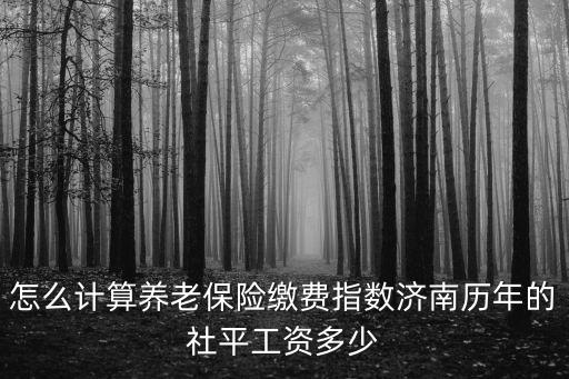 怎么計算養老保險繳費指數濟南歷年的社平工資多少