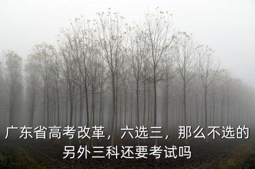 廣東省高考考試科目怎么選的,廣東省高考改革
