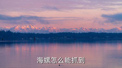 陽江哪里能撿到海螺,趕海在哪里撿海螺