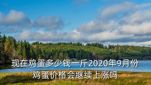 青島現在雞蛋多少一斤,現在雞蛋多少錢一斤