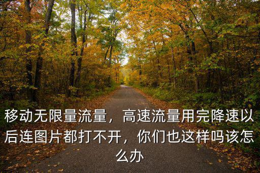 廣東移動(dòng)無限流量用多少降速,移動(dòng)無限量流量