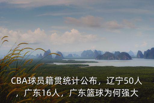 CBA球員籍貫統計公布，遼寧50人，廣東16人，廣東籃球為何強大