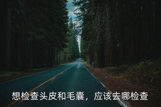 想檢查頭皮和毛囊，應該去哪檢查