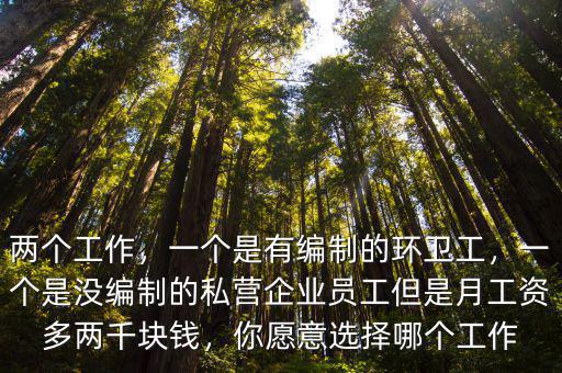 兩個工作，一個是有編制的環(huán)衛(wèi)工，一個是沒編制的私營企業(yè)員工但是月工資多兩千塊錢，你愿意選擇哪個工作