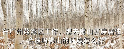 佛山鹽步買房怎么樣,佛山的環境怎么樣
