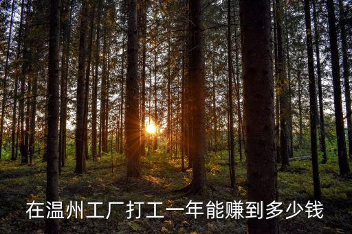 在溫州工廠打工一年能賺到多少錢