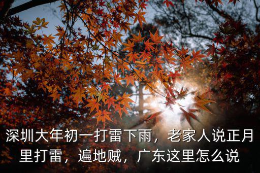 深圳大年初一打雷下雨，老家人說正月里打雷，遍地賊，廣東這里怎么說