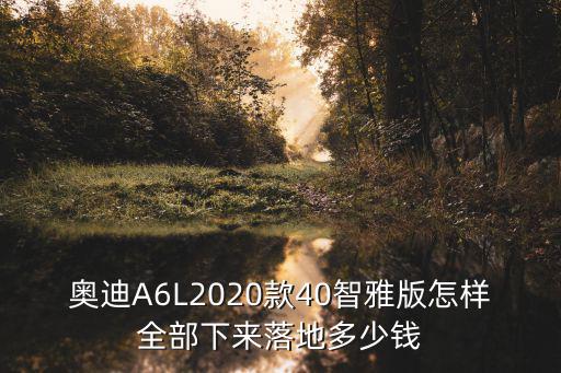 奧迪A6L2020款40智雅版怎樣全部下來落地多少錢