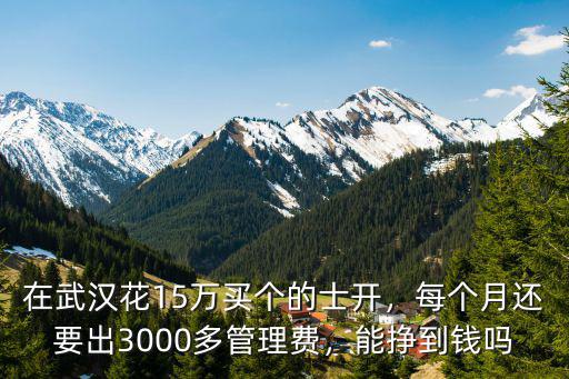 在武漢花15萬(wàn)買個(gè)的士開(kāi)，每個(gè)月還要出3000多管理費(fèi)，能掙到錢嗎
