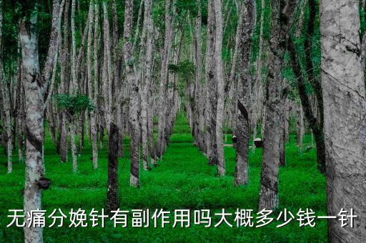 濱州無痛分娩多少錢一針,無痛分娩針有副作用嗎