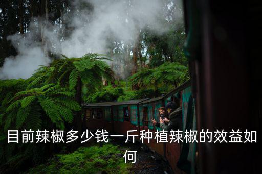 目前辣椒多少錢一斤種植辣椒的效益如何