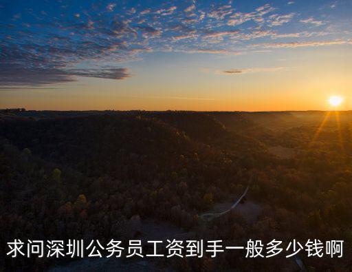 求問深圳公務員工資到手一般多少錢啊