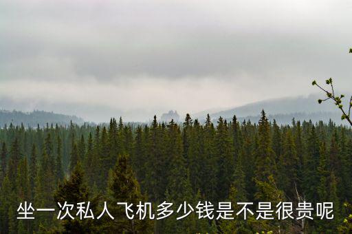 溫州私人飛機多少錢,坐一次私人飛機多少錢