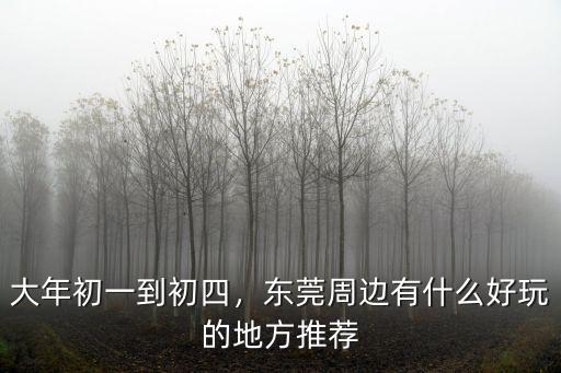 東莞年三十哪里有活動,東莞會有什么美食活動呢