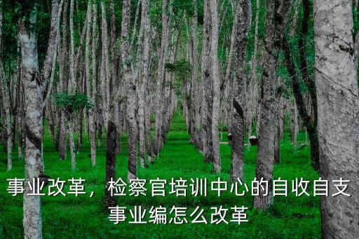 深圳市人民檢察院事業編怎么改,在事業編改革中